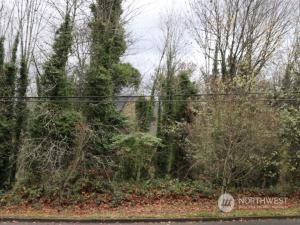 MLS #NWM2179061 image #0