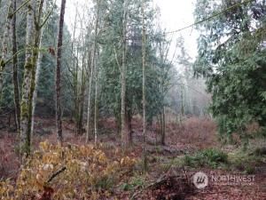 MLS #NWM2180628 image #1