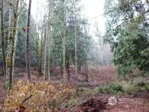 MLS #NWM2180628 image #2