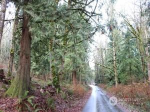 MLS #NWM2180628 image #3