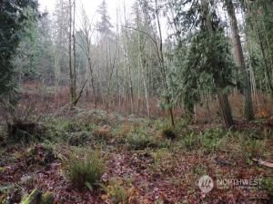 MLS #NWM2180628 image #5