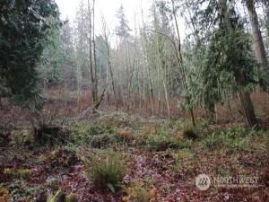 MLS #NWM2180628 image #6