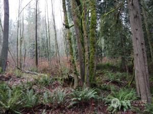 MLS #NWM2180628 image #7