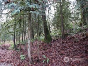 MLS #NWM2180628 image #8