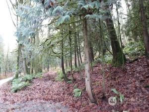 MLS #NWM2180628 image #9