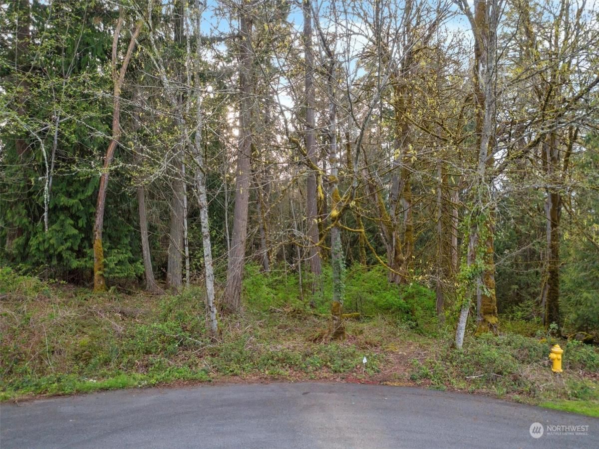 MLS #NWM2191700 image #4