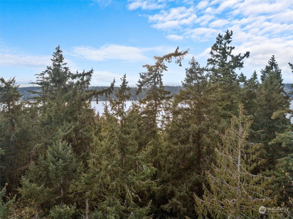 MLS #NWM2191700 image #6