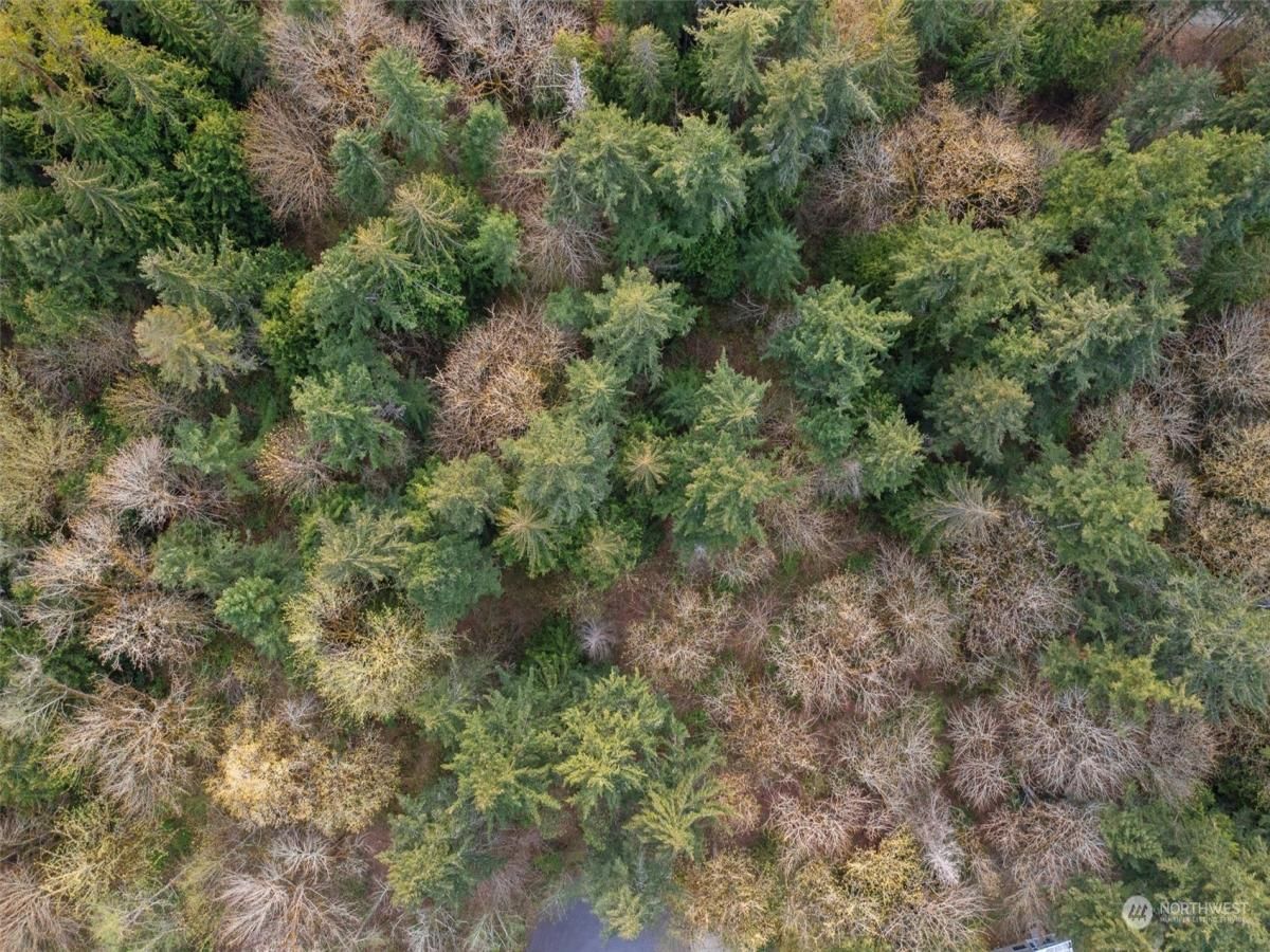 MLS #NWM2191700 image #8