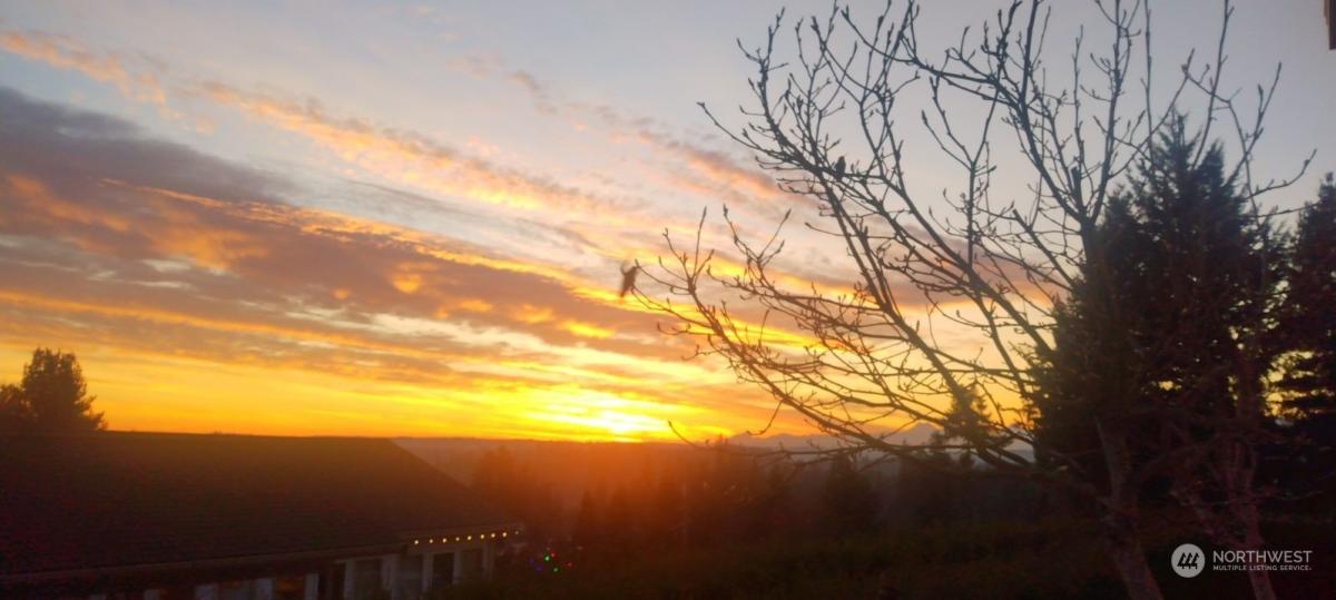 MLS #NWM2196974 image #0