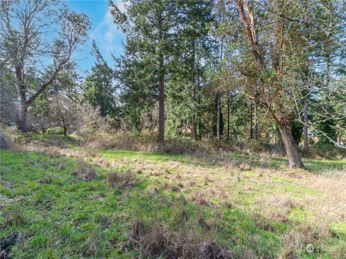 MLS #NWM2210859 image #0