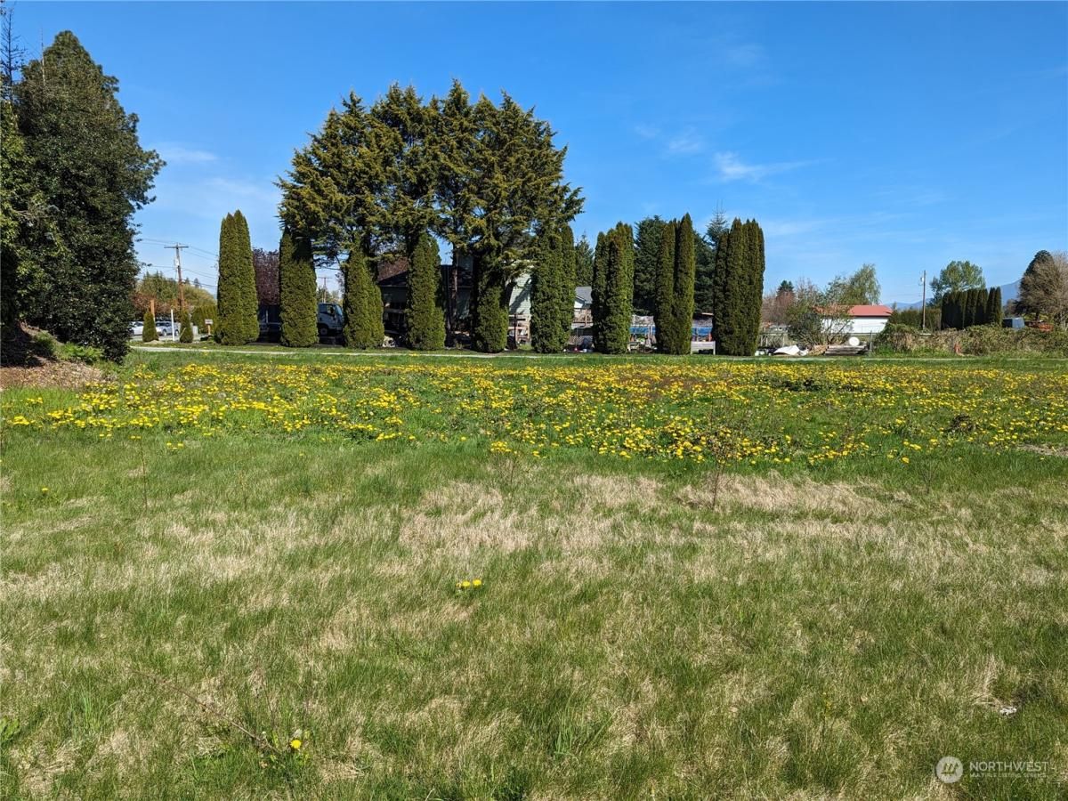 MLS #NWM2214758 image #0