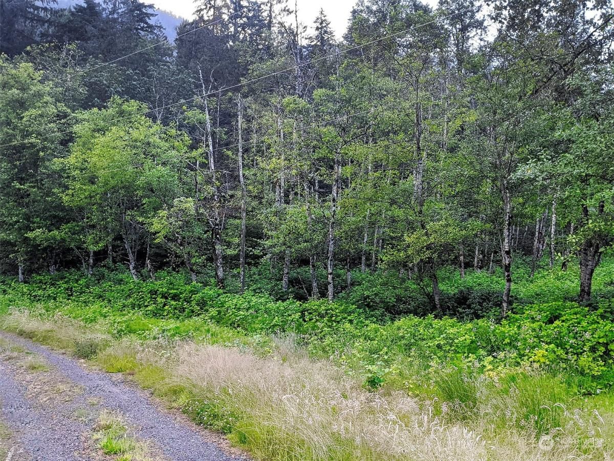 MLS #NWM2217913 image #10