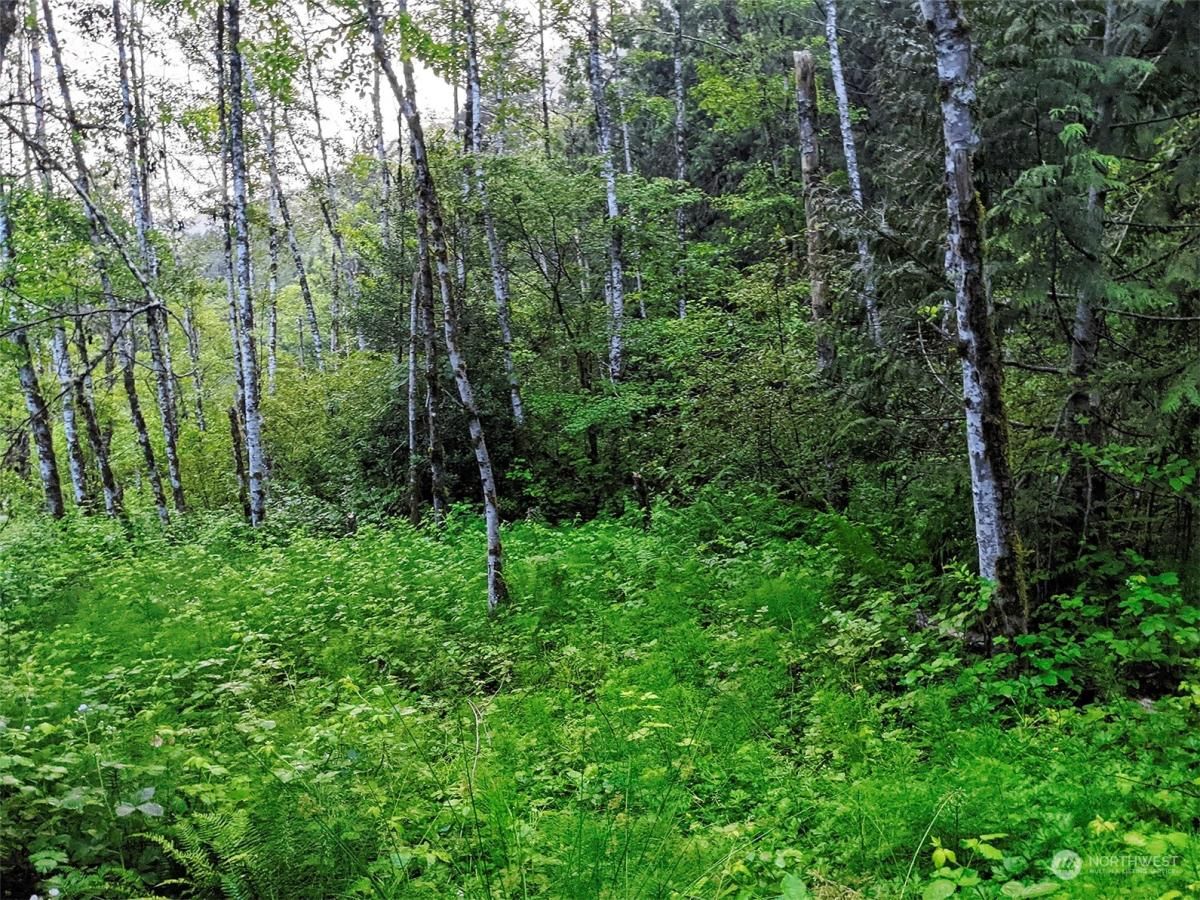 MLS #NWM2217913 image #12