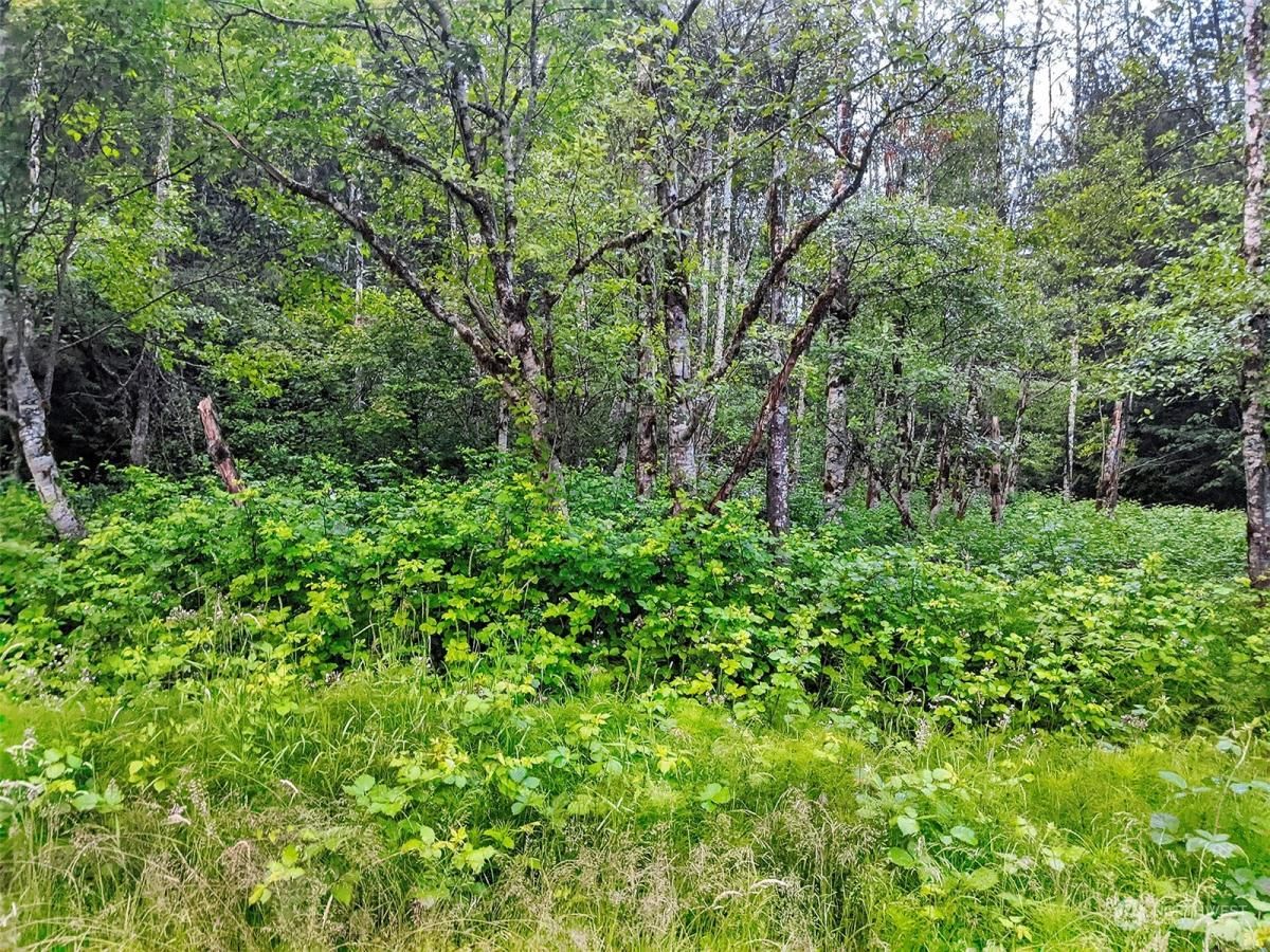 MLS #NWM2217913 image #13