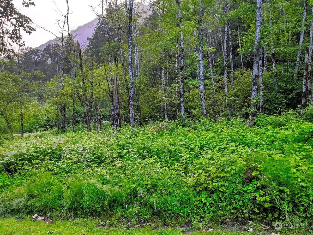 MLS #NWM2217913 image #15