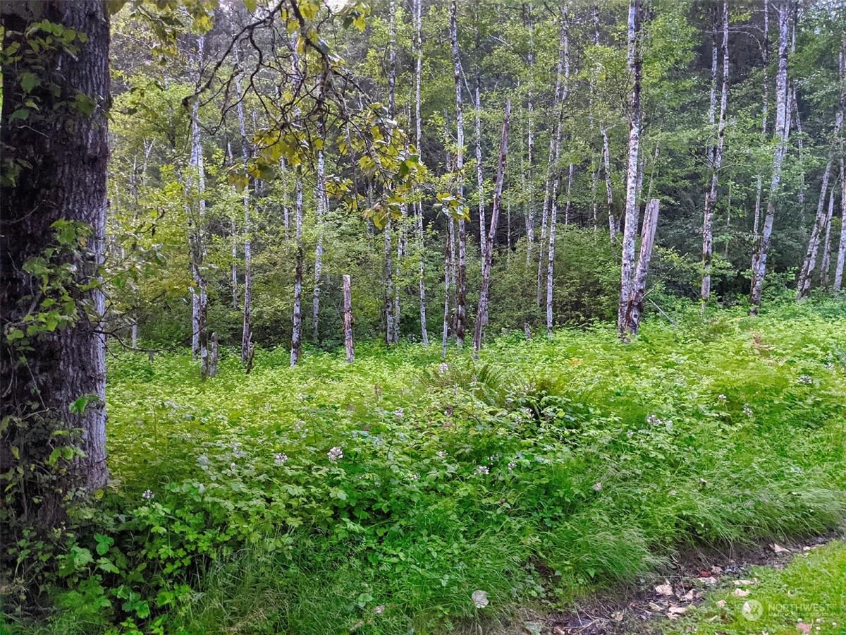 MLS #NWM2217913 image #16