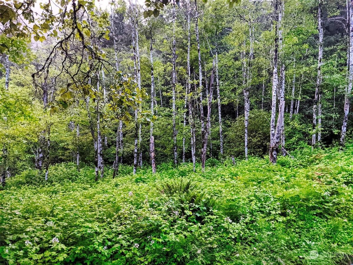 MLS #NWM2217913 image #17