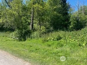 MLS #NWM2222696 image #0