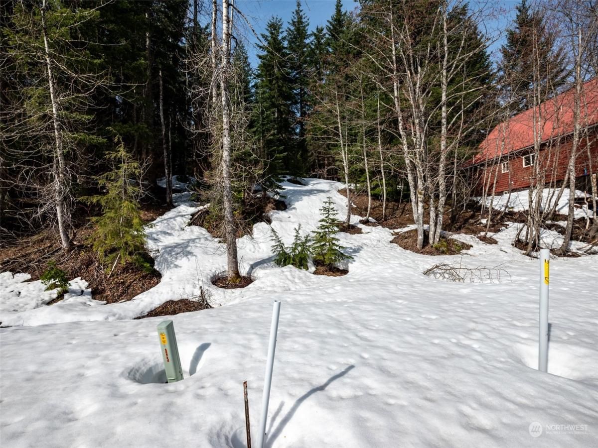 MLS #NWM2223401 image #0