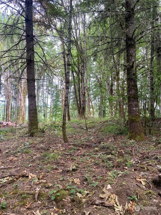 MLS #NWM2259794 image #0