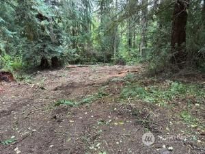 MLS #NWM2272495 image #0