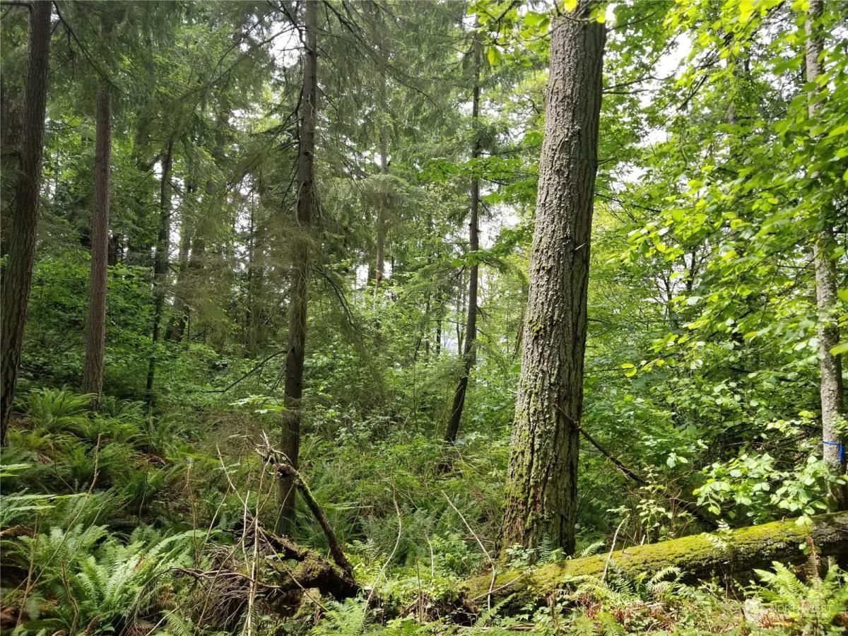 MLS #NWM2276931 image #0