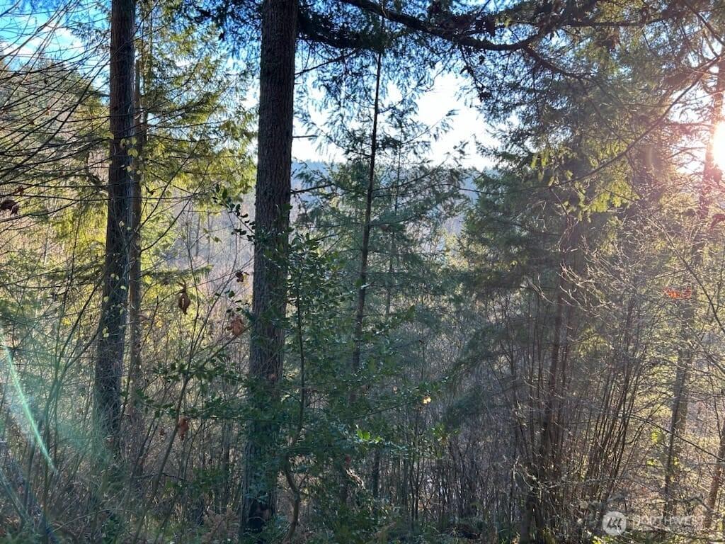 MLS #NWM2286733 image #0