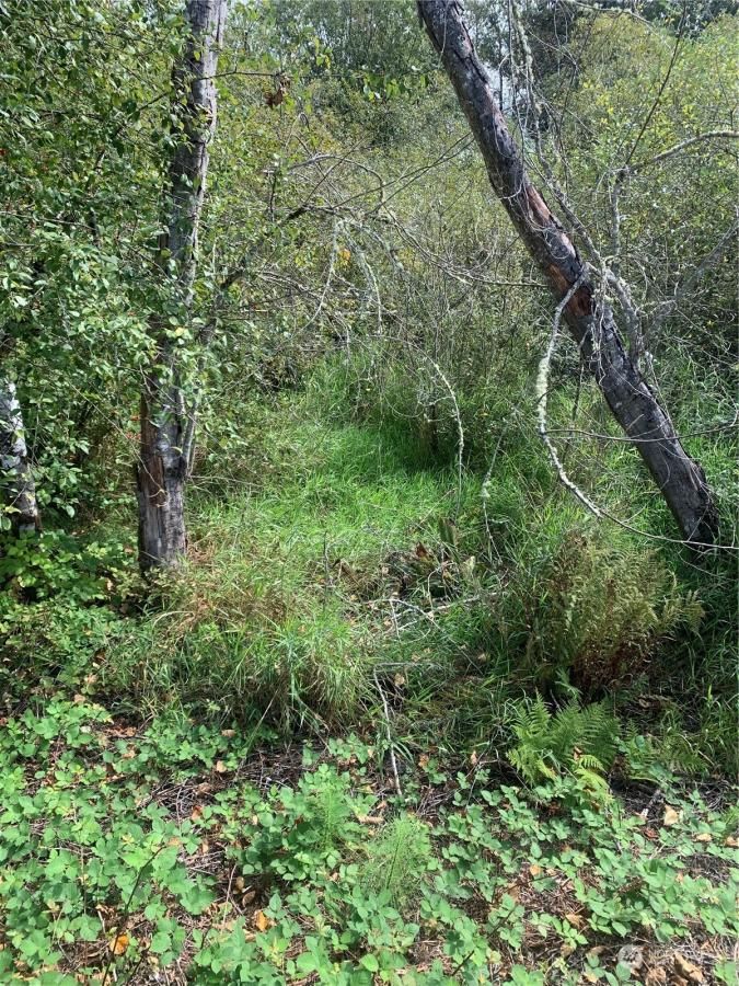 MLS #NWM2301556 image #0