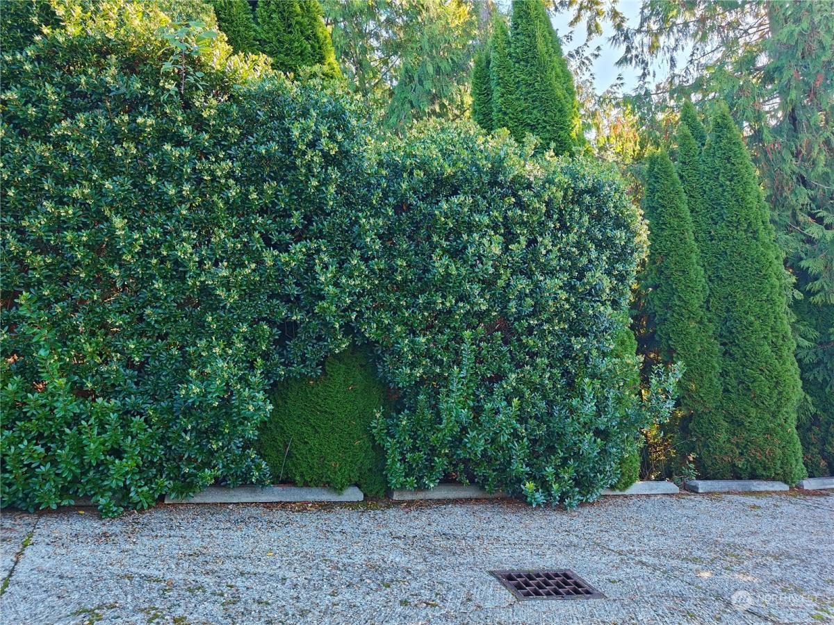 MLS #NWM2309297 image #0