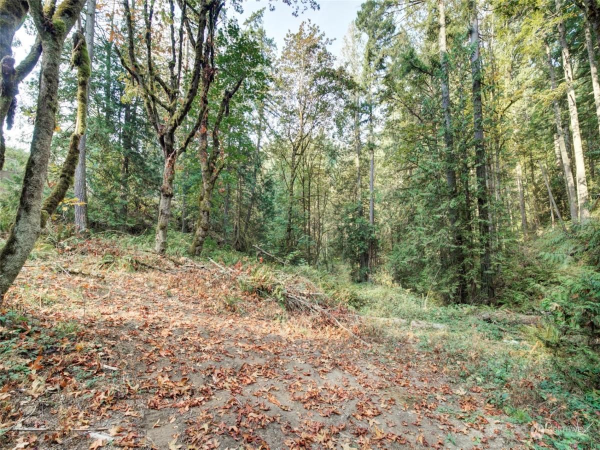 MLS #NWM2310661 image #0