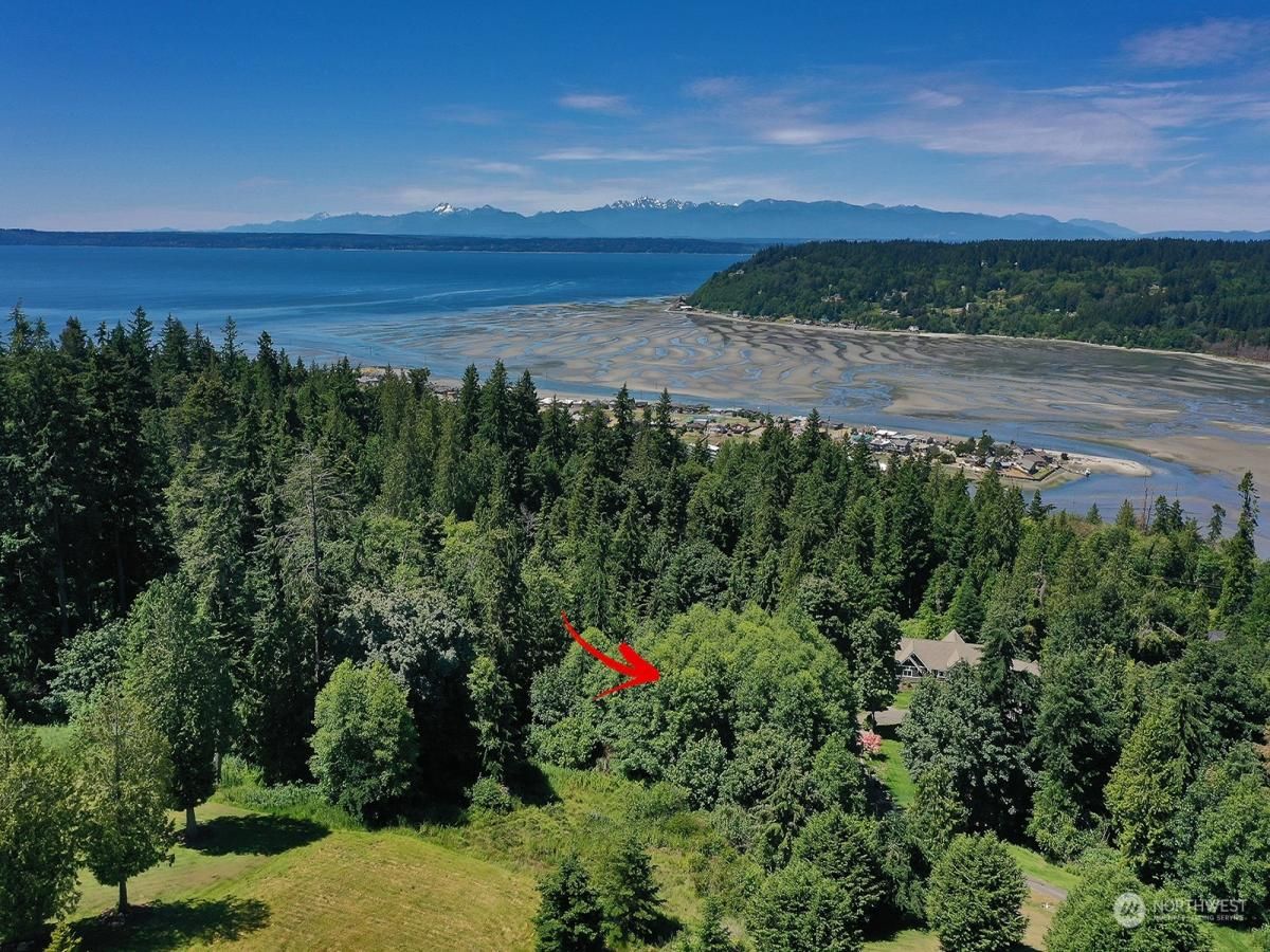 MLS #NWM2313984 image #0