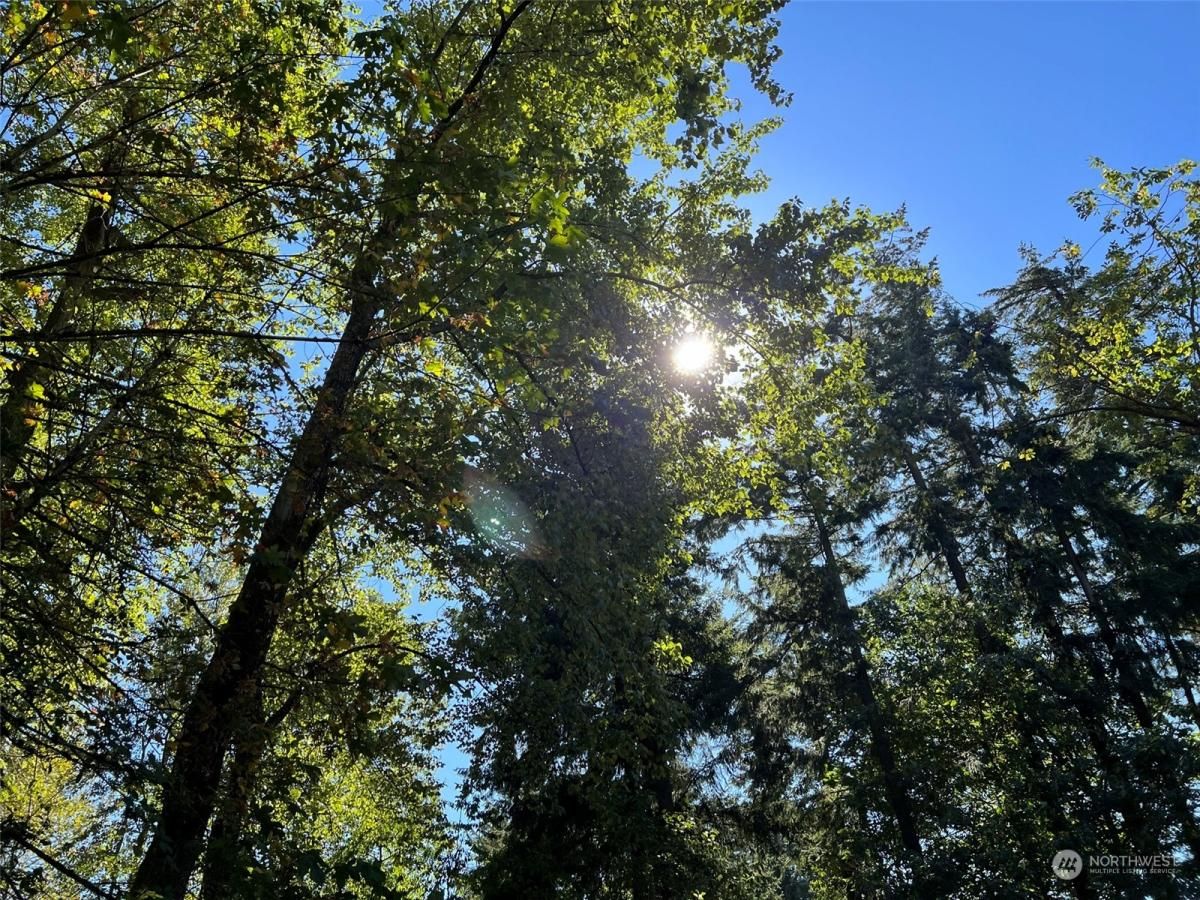 MLS #NWM2315488 image #0