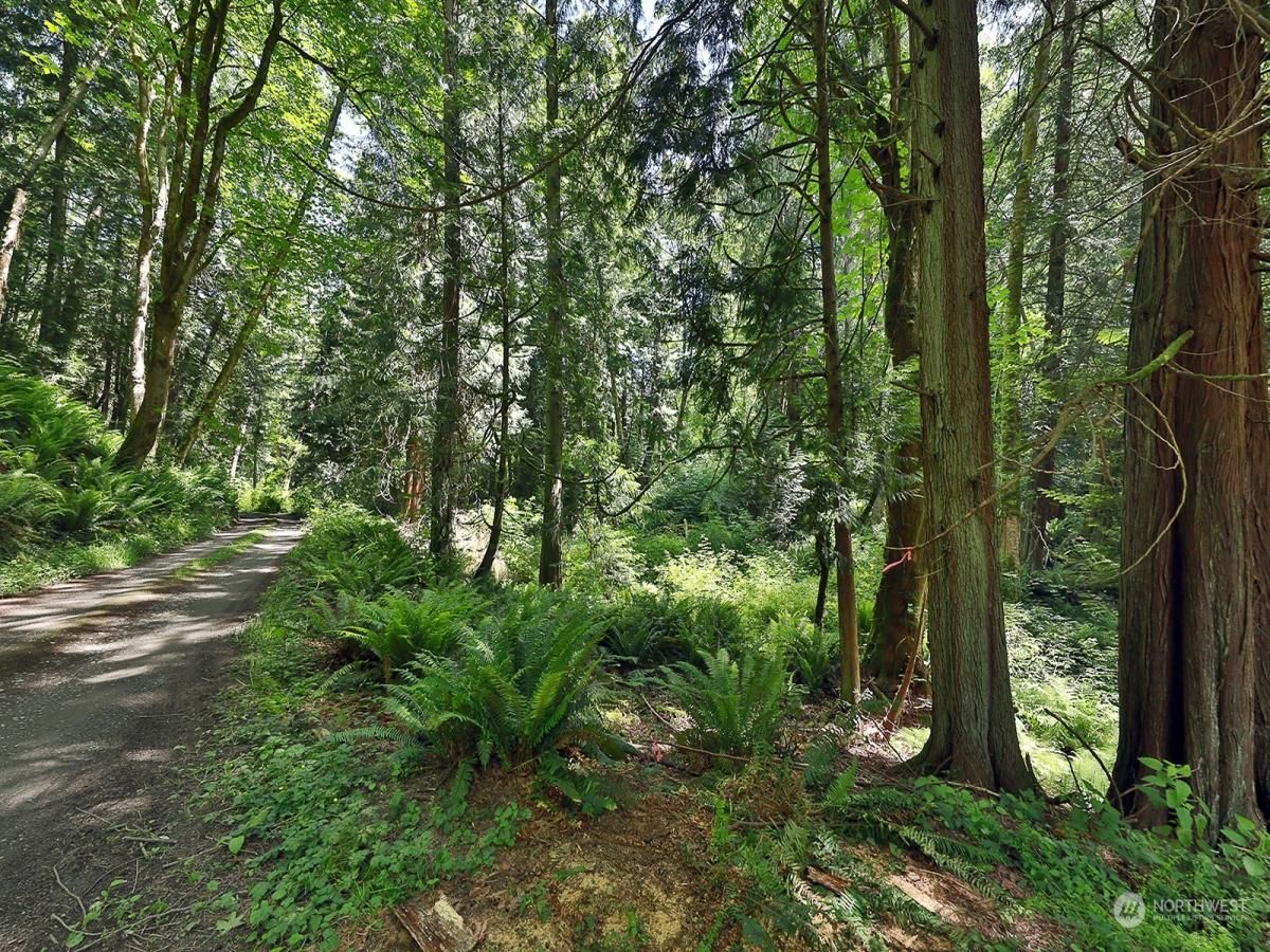 MLS #NWM2317625 image #0