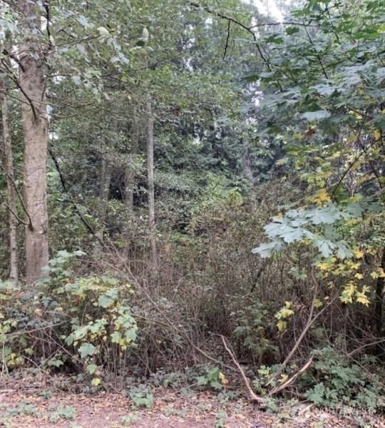 MLS #NWM2318768 image #0