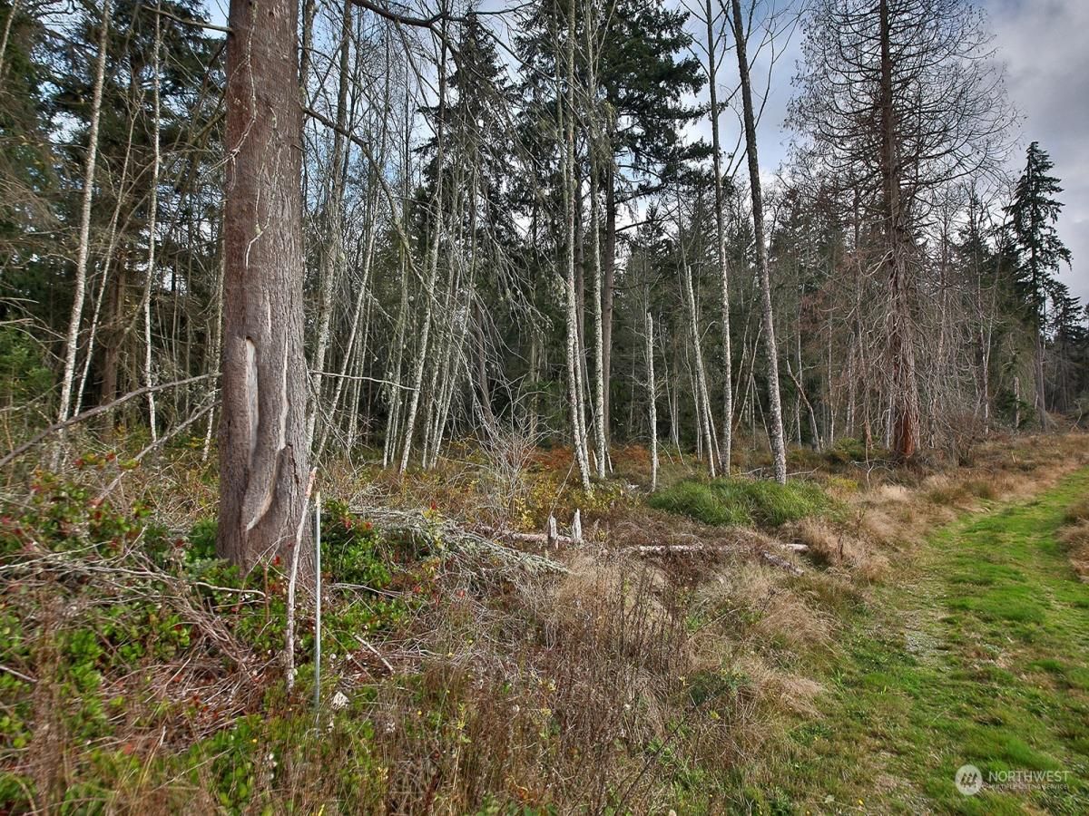 MLS #NWM2319195 image #0