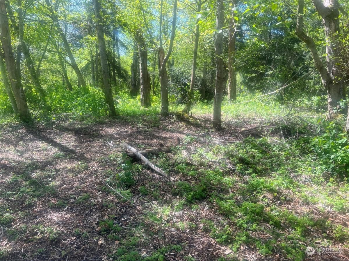 MLS #NWM2323155 image #0