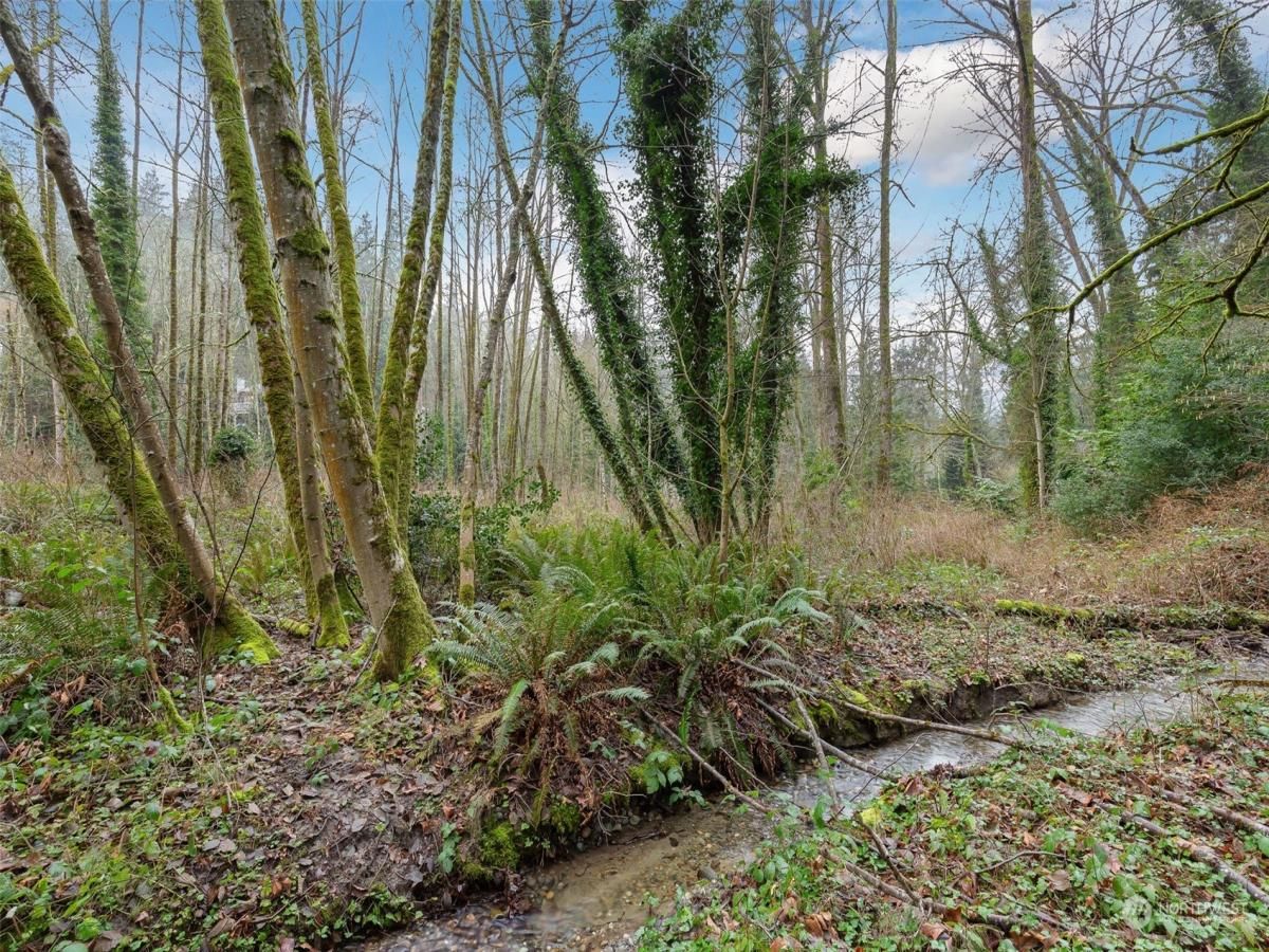 MLS #NWM2323572 image #0