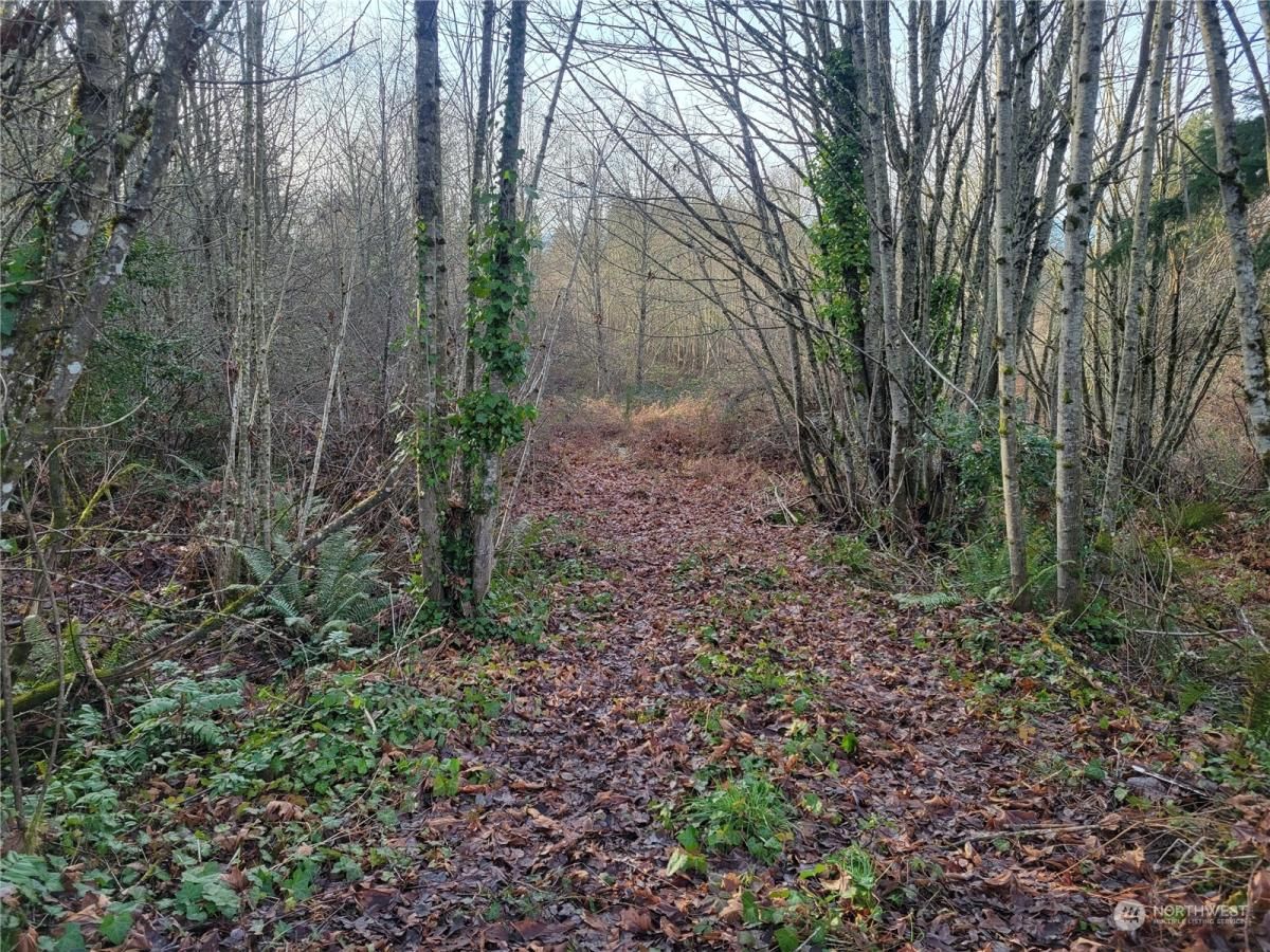 MLS #NWM2324416 image #0