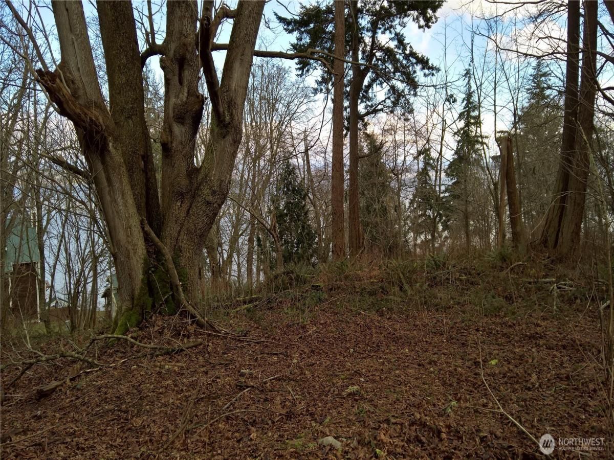 MLS #NWM2324589 image #0