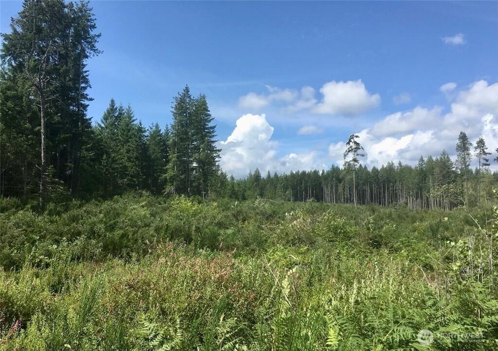 MLS #NWM2332420 image #0