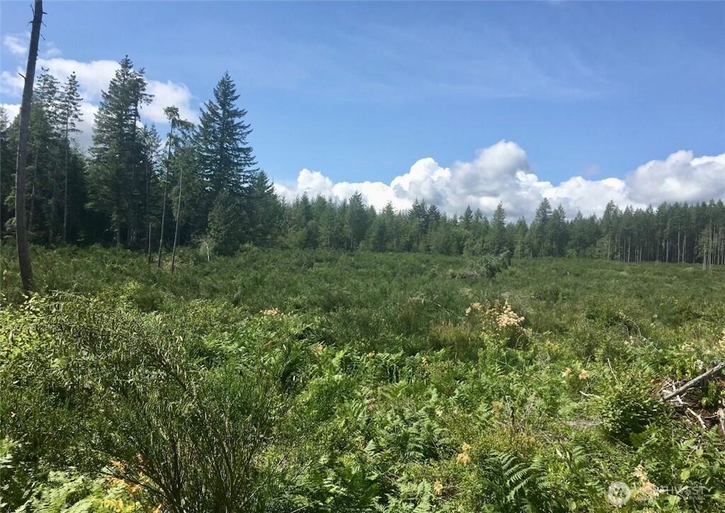 MLS #NWM2332420 image #0