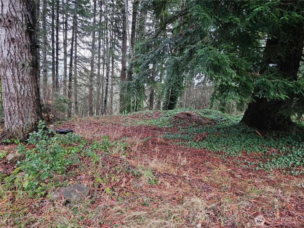 MLS #NWM2333883 image #0