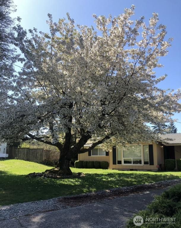 MLS #NWM2334420 image #0