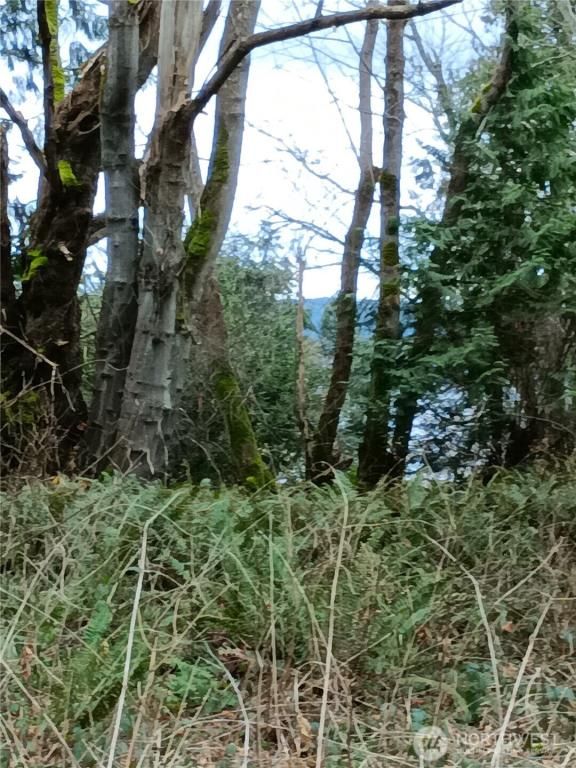 MLS #NWM2334974 image #0