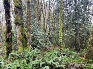 MLS #NWM2335680 image #0