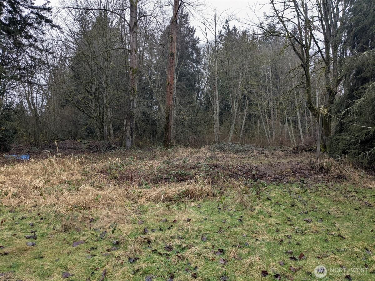 MLS #NWM2335728 image #0