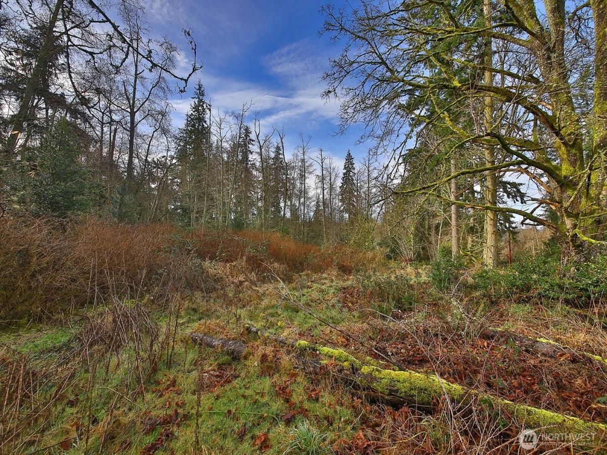 MLS #NWM2338036 image #0