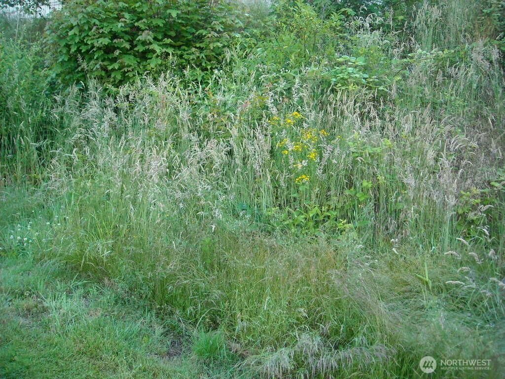 MLS #NWM2338732 image #0