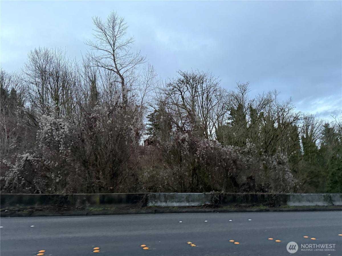 MLS #NWM2340289 image #0