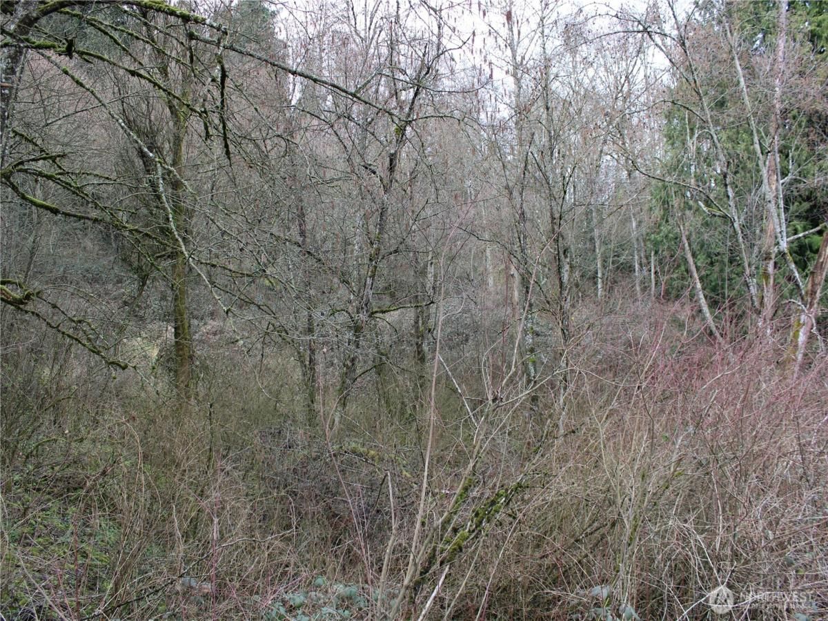 MLS #NWM2342631 image #0